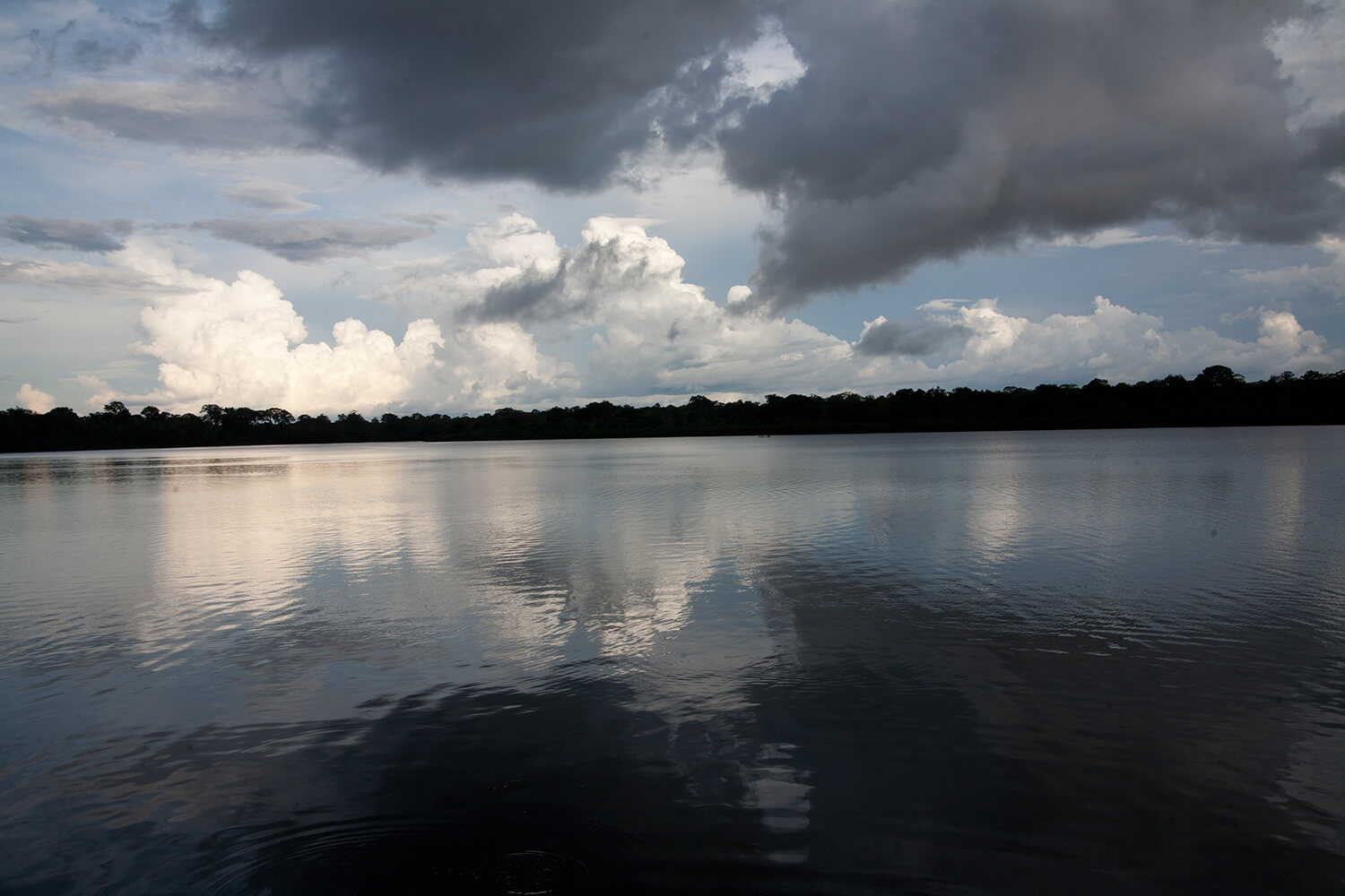 AMAZONAS 28 rio galeria_MG_0221 1.jpg